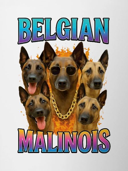 Belgischer Malinois