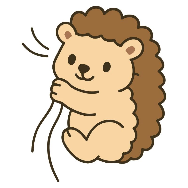Bébé hérisson câlin
