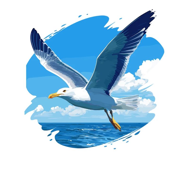 Seagulls Seagull