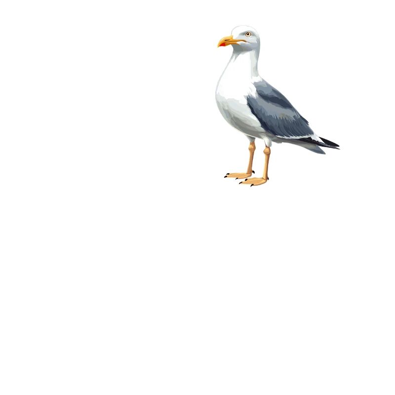 Mouettes Mouette
