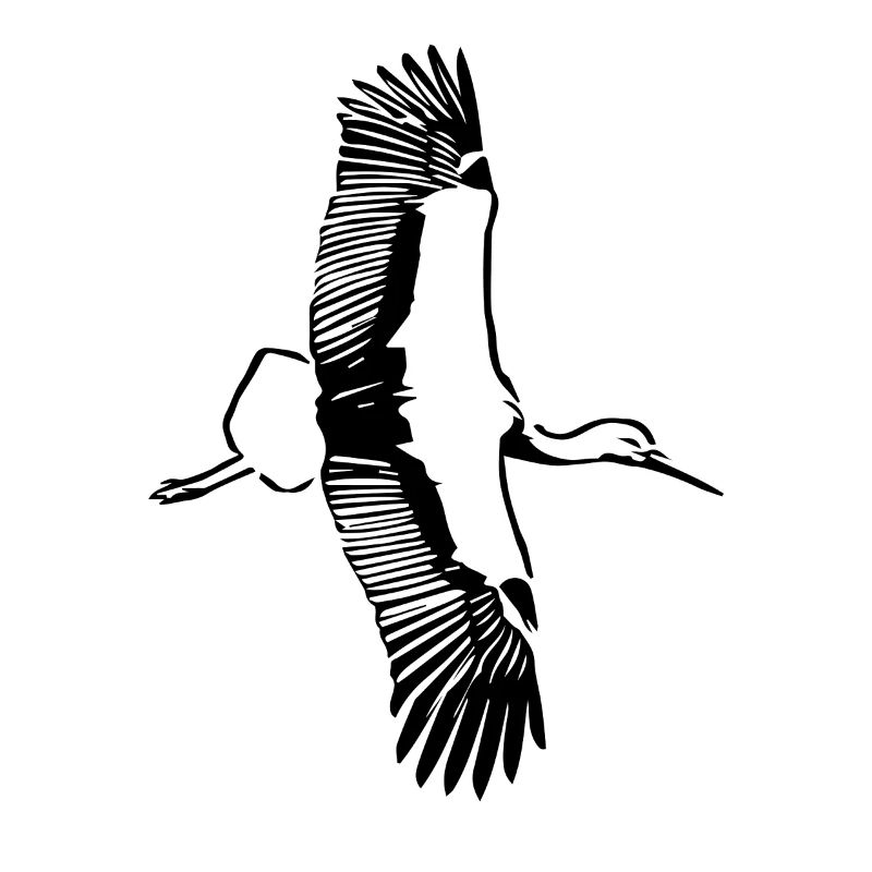 Le vol de la cigogne