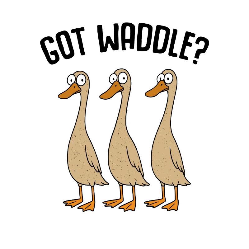 Canards Canard Maman Canard Papa Canard Élevage Canards Canards