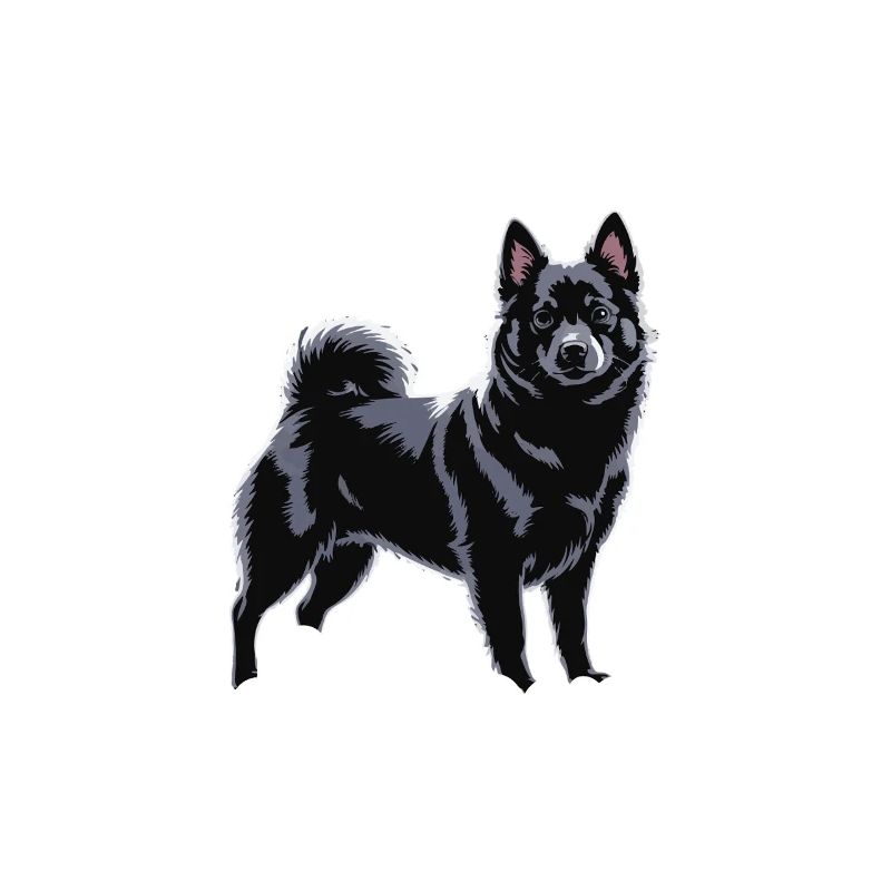 Weekend plans: Time with my Schipperke