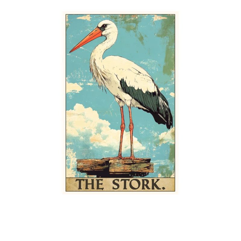 Storks Stork