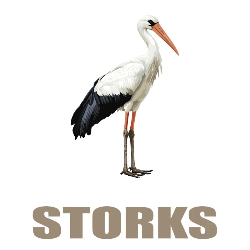 Storks Stork