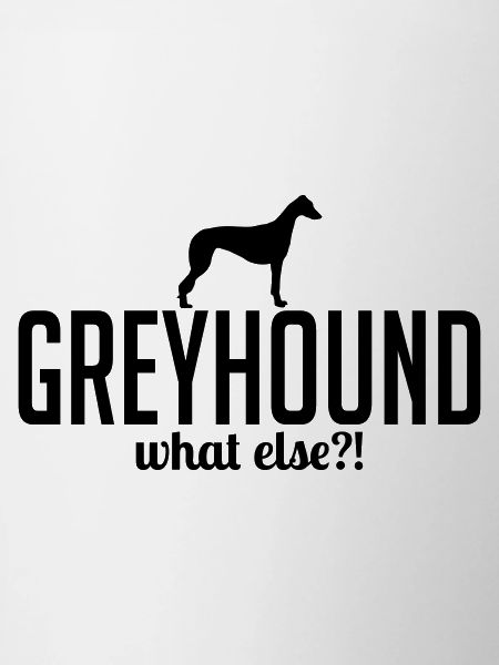 GREYHOUND what else