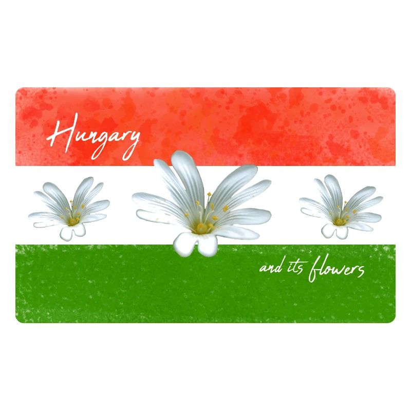 Hongrie Drapeau Hongrois