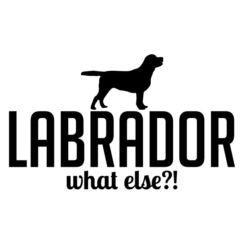 LABRADOR what else Hundespruch Wilsigns