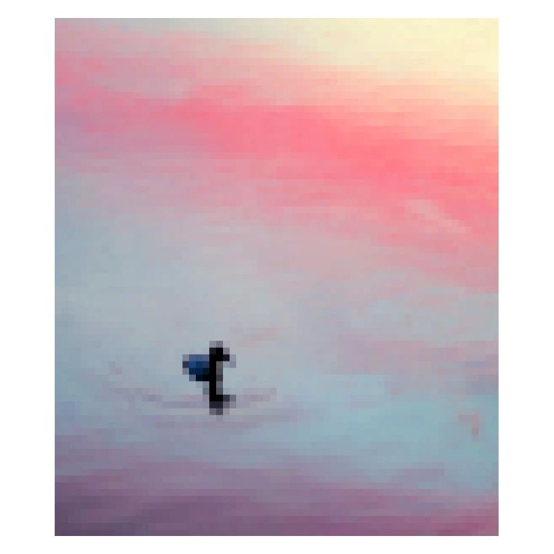 canard pixélisé
