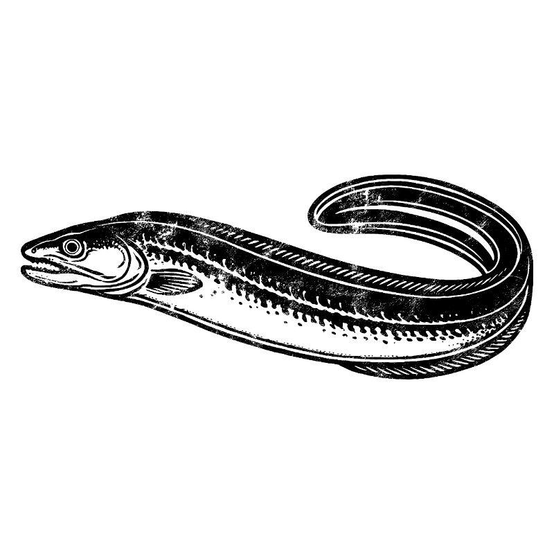 Eel - Fish - Angler Gift