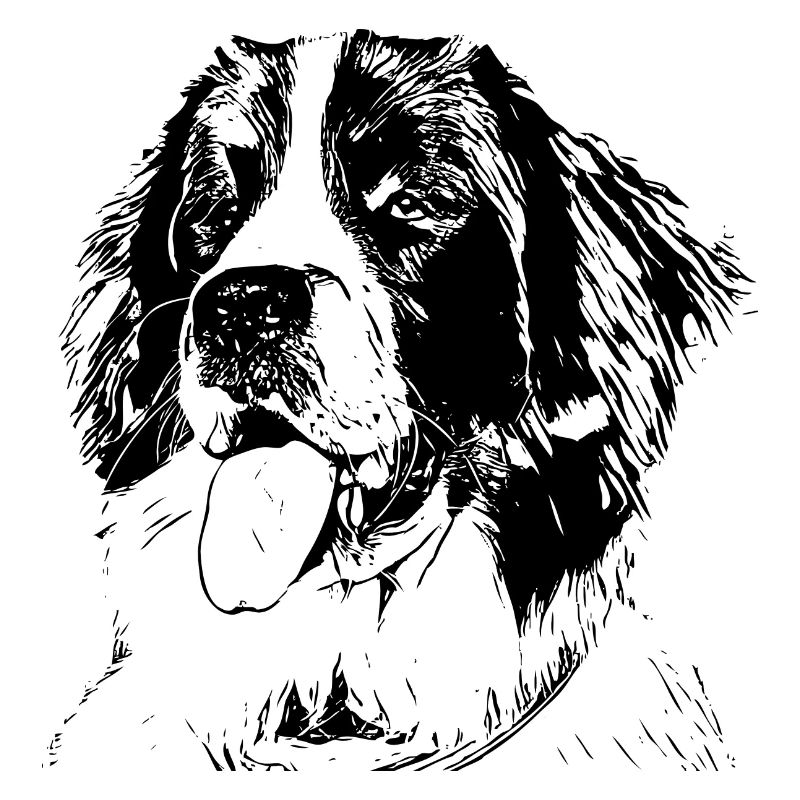 Landseer