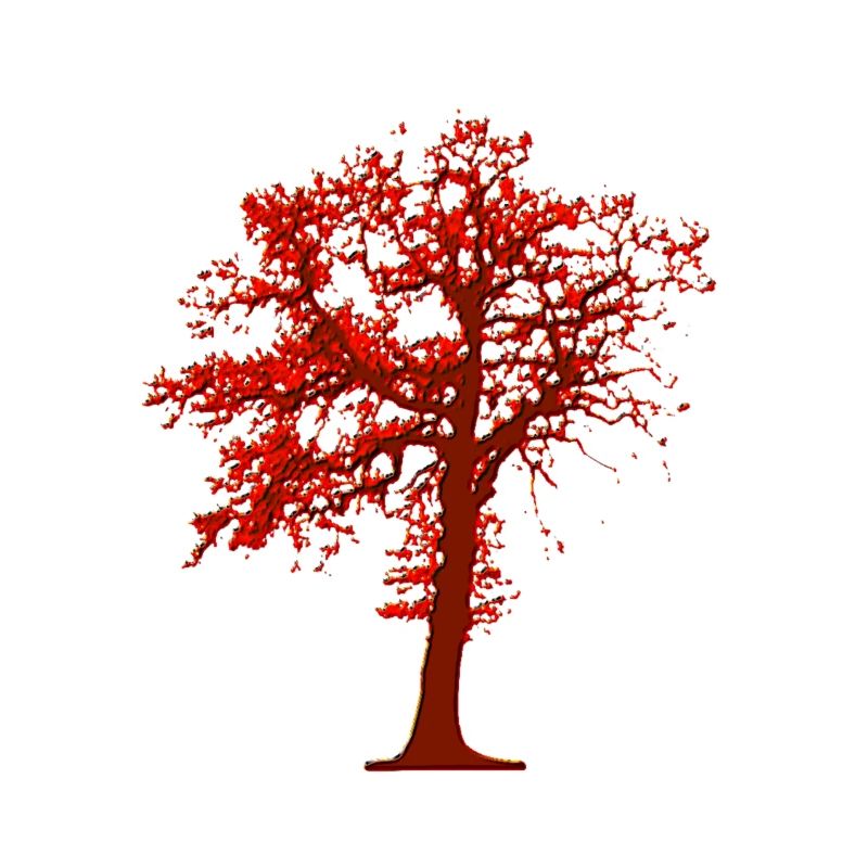 Illustration d’arbre