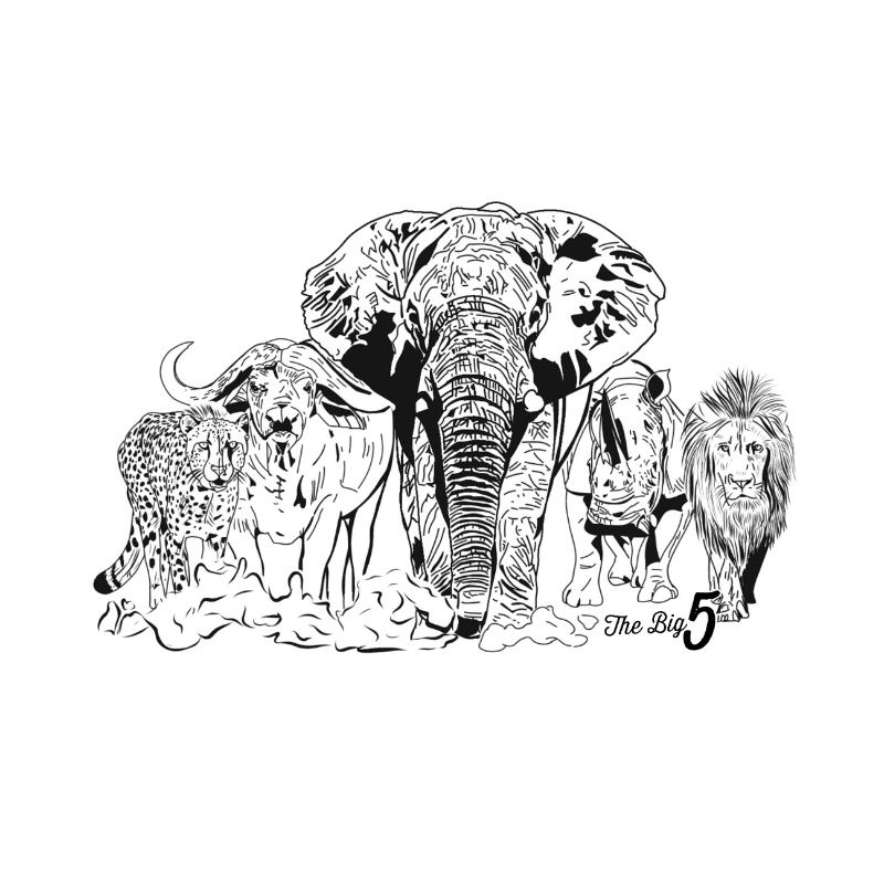 THE BIG 5