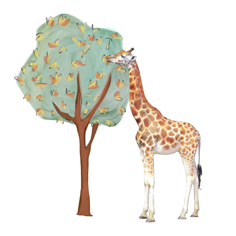 Giraffe | Giraffe