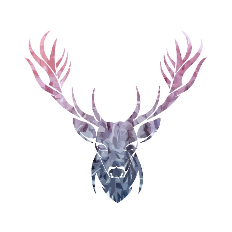 Hirsch