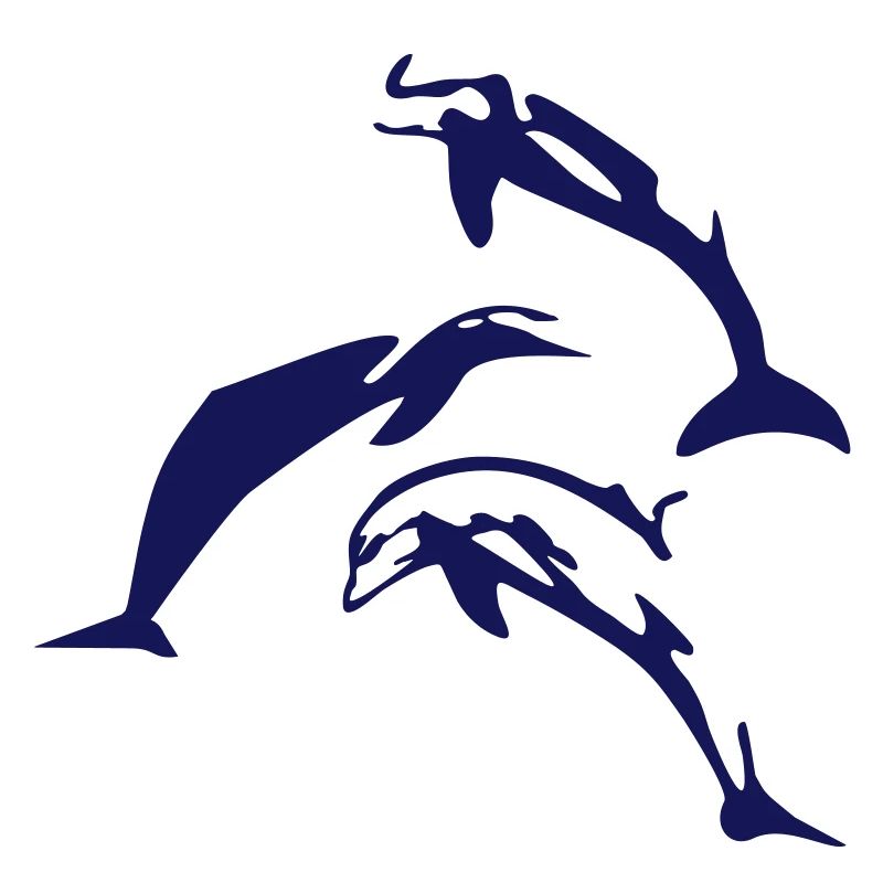 Dolphins - dauphins