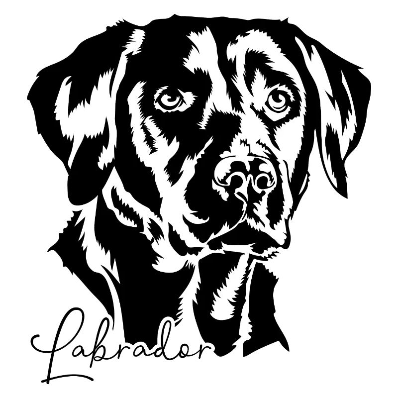 LABRADOR RETRIEVER Hunde Hund Labbi Wilsigns