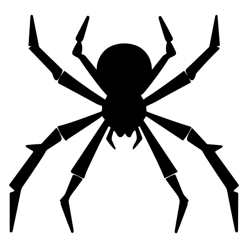 Spinne