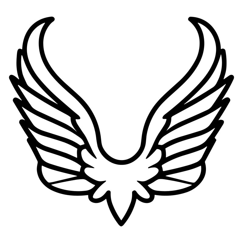 Ailes d'ange