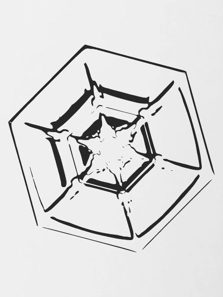 snowflake 4 black