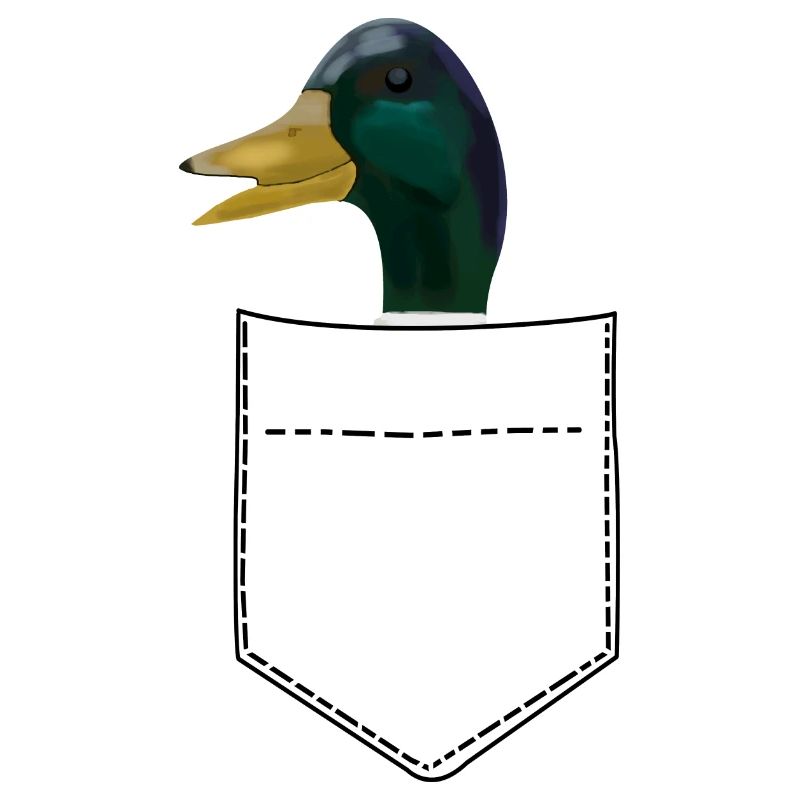 Poche poitrine de canard