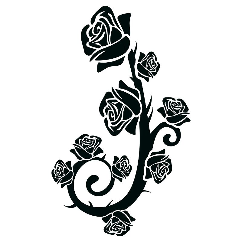 Black rose, black rose