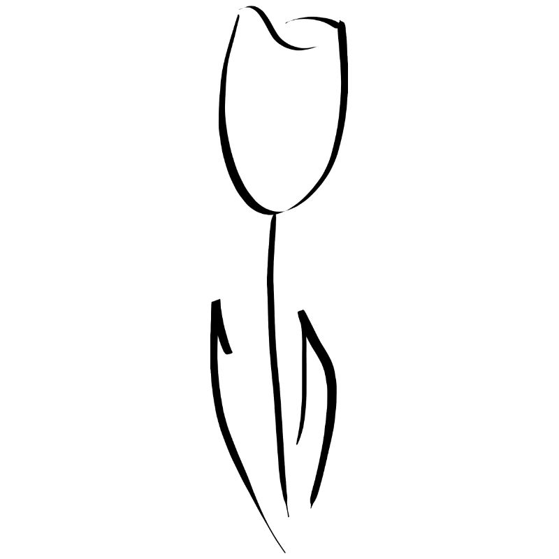 Tulipe