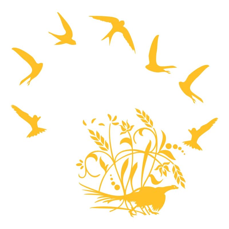 Fasan im Feld / pheasant n the field (1c)