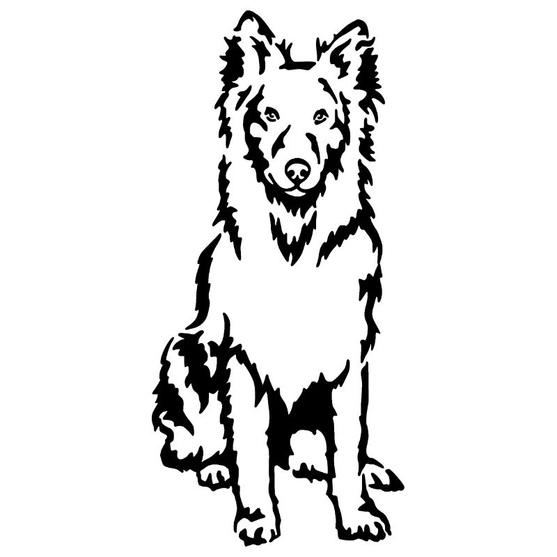 Holländischer Schäferhund