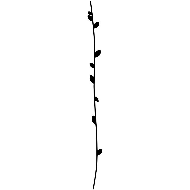 Ast