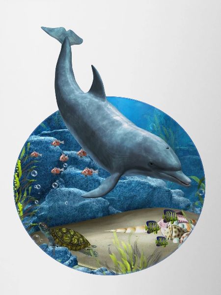 Le monde des dauphins