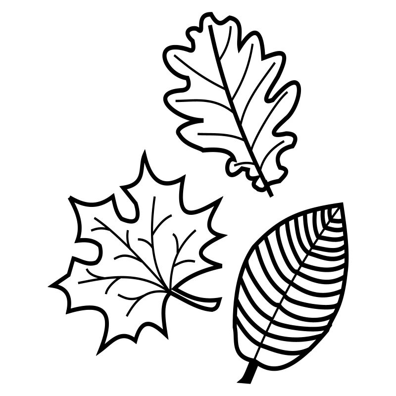 feuilles d'automne