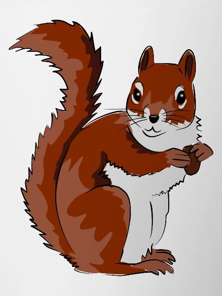 Cute Squirrel Illustration