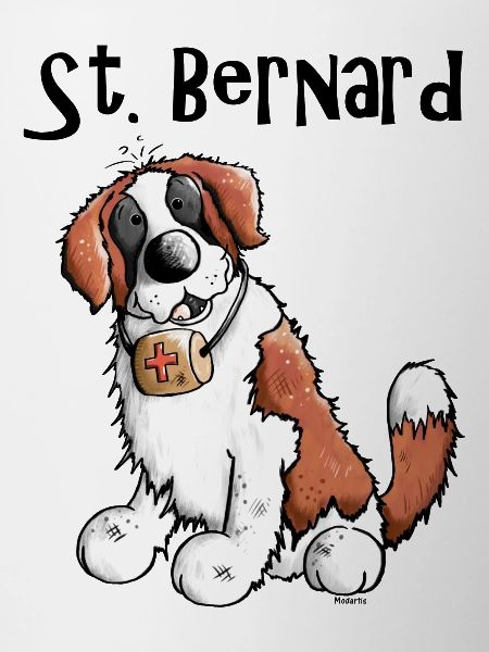Drôle Saint Bernard - Chien