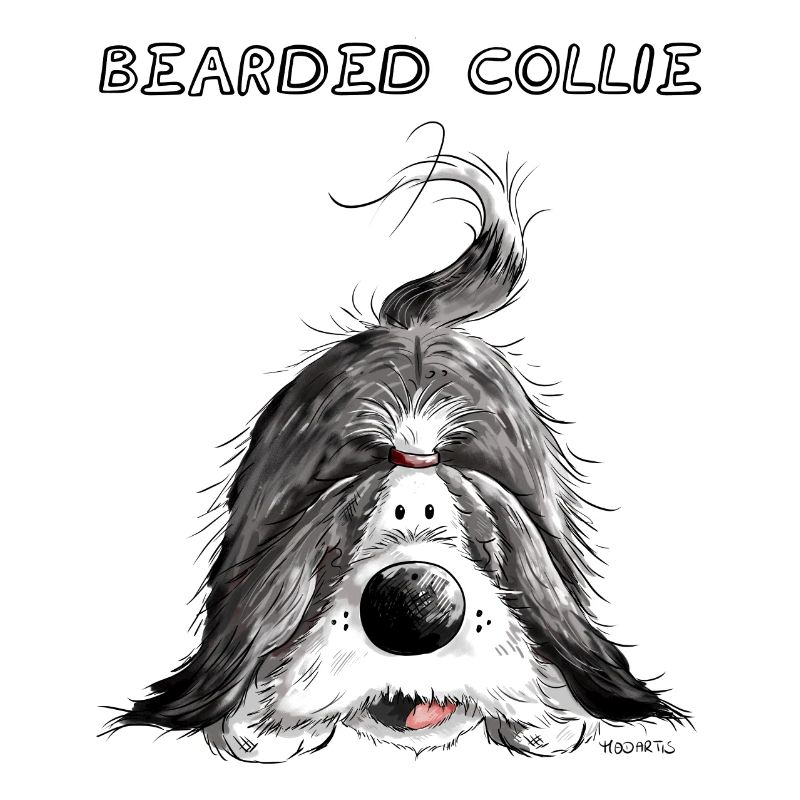 Bearded Collie