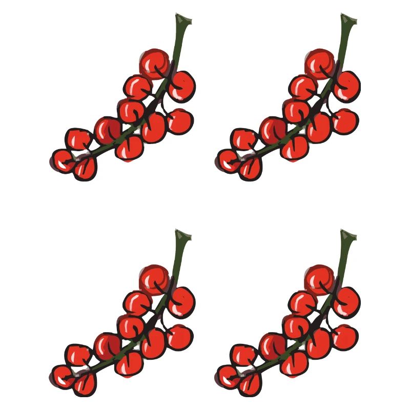 red currant - red currant