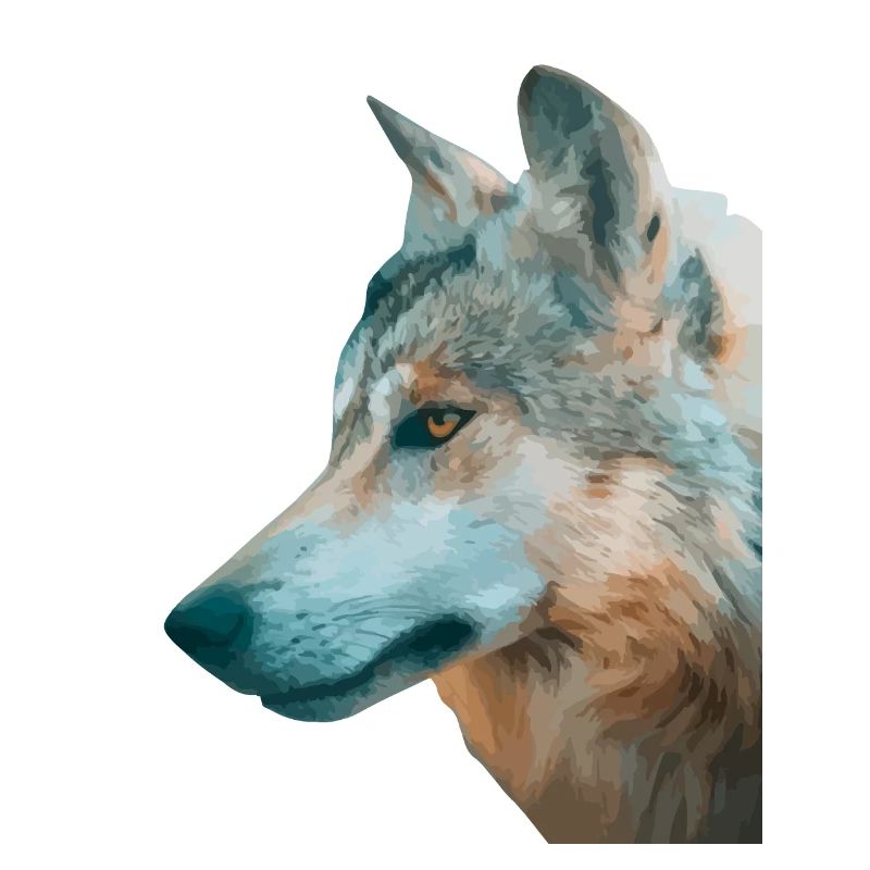 Tête de loup Aquarelle