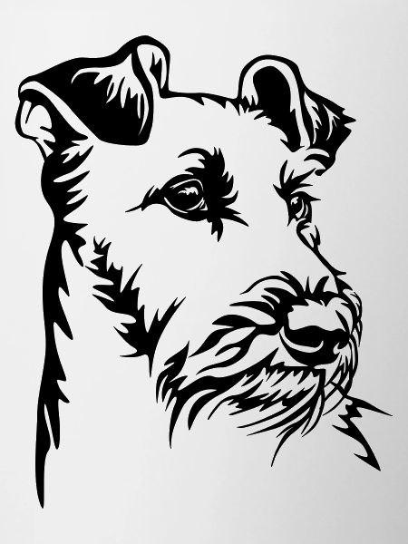 Irish Terrier head