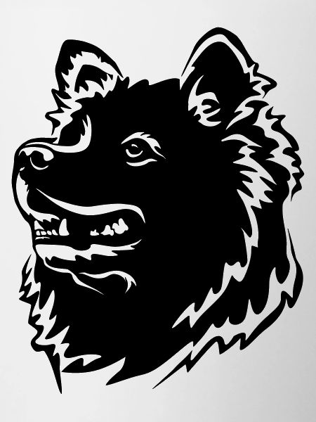 Samoyed Head