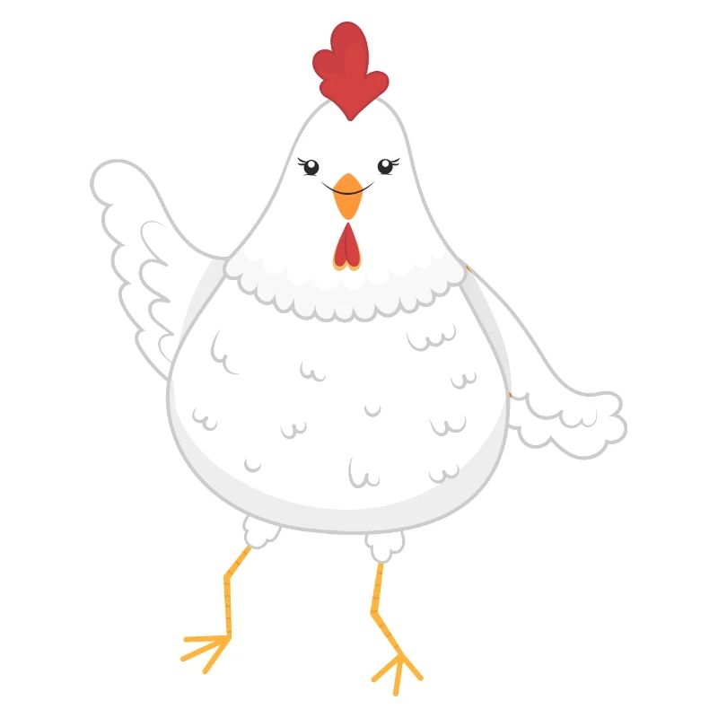 Chicken chickens