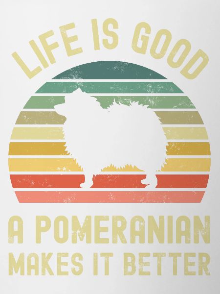 Dog Pomeranian
