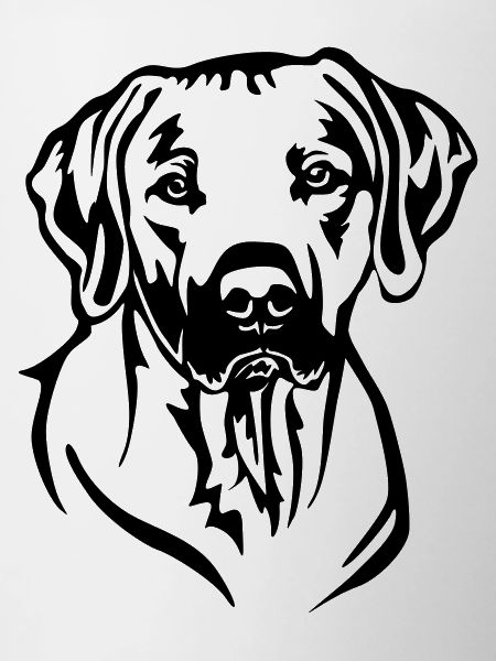 Rhodesian Ridgeback Head