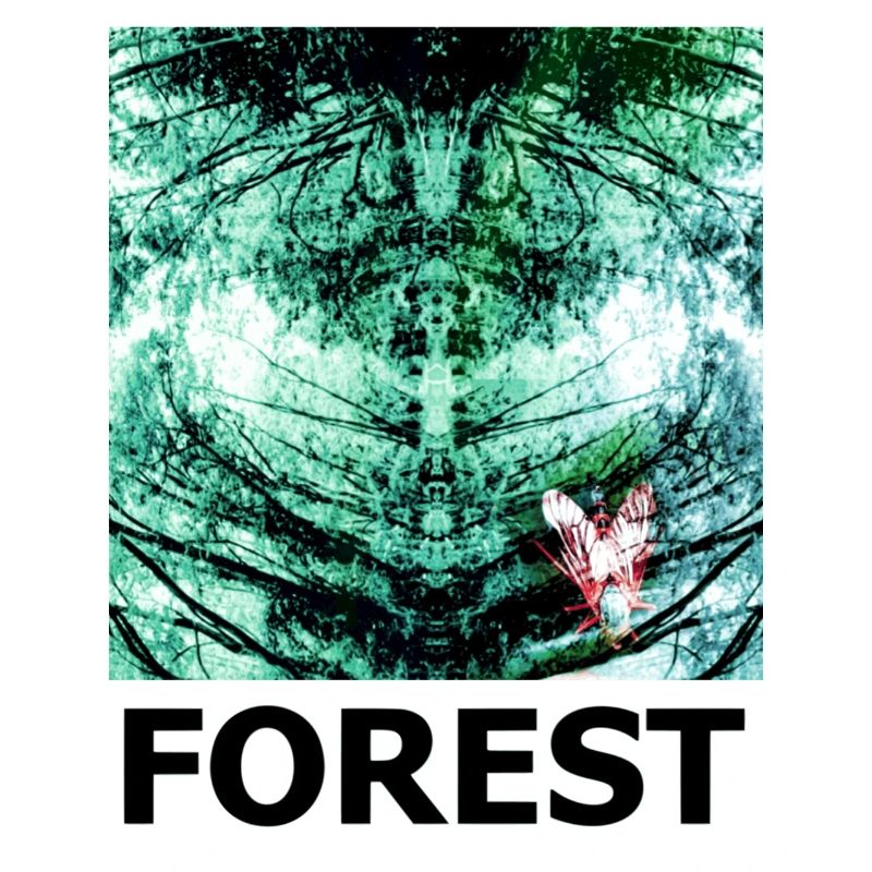 Forest Kaleidoscope FOREST