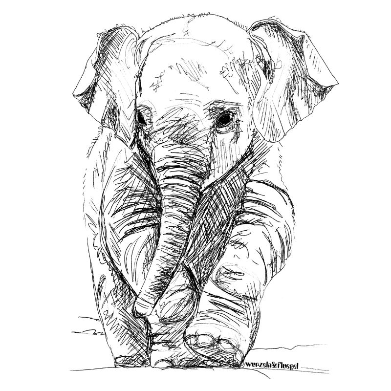Éléphant