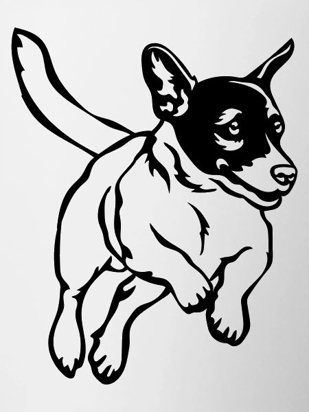Jack Russell Terrier