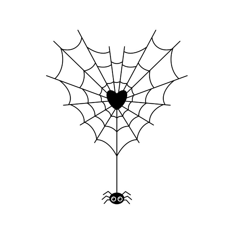Spider in spider web