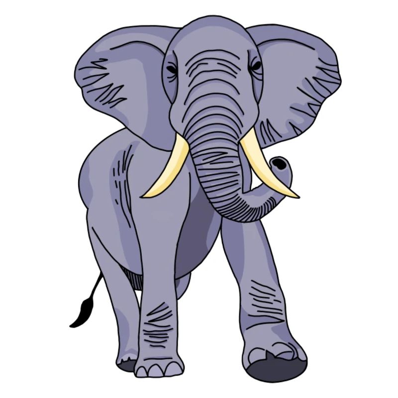 Éléphant