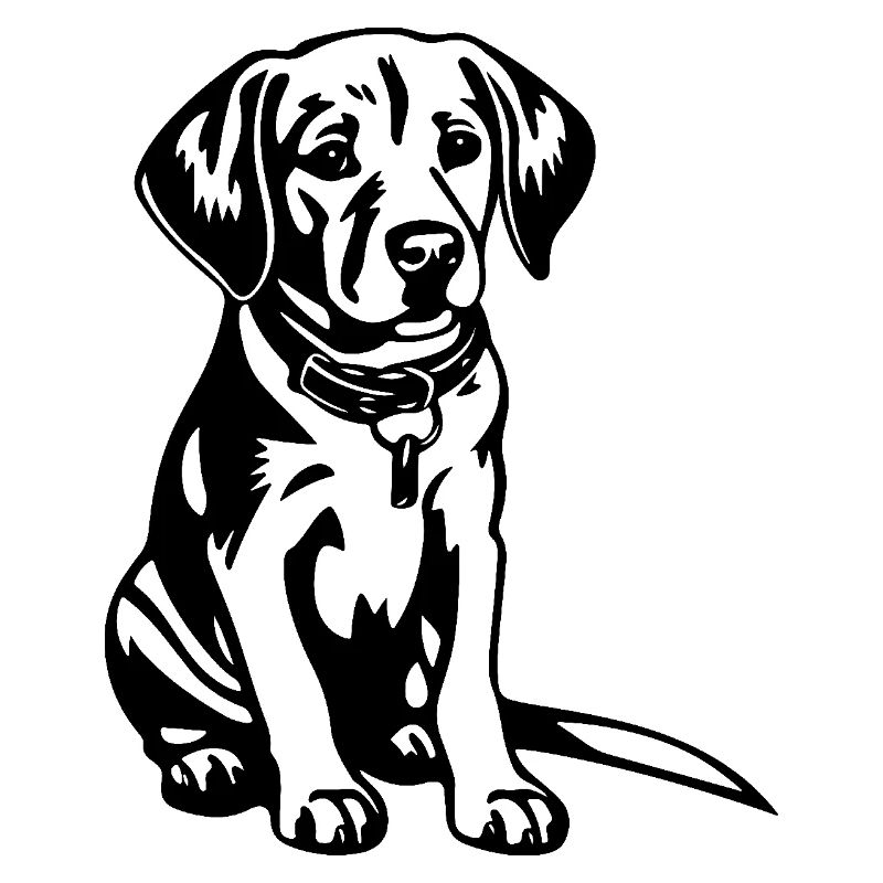 Beagle Dog