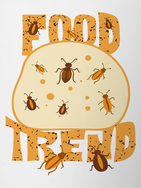 Insect Bread