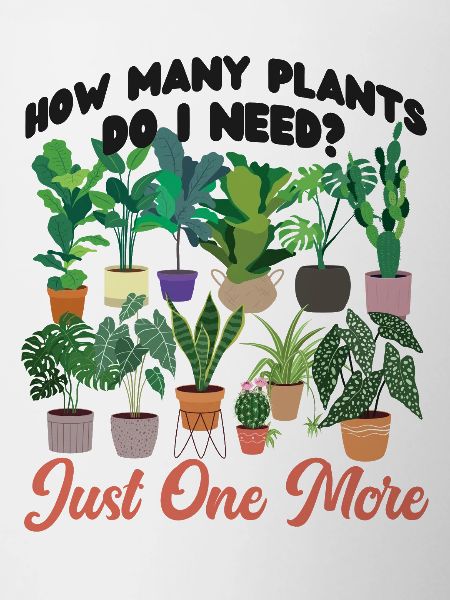 Plant Lover Gardening How Many